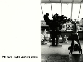 Sylva Lacinová – bez názvu 