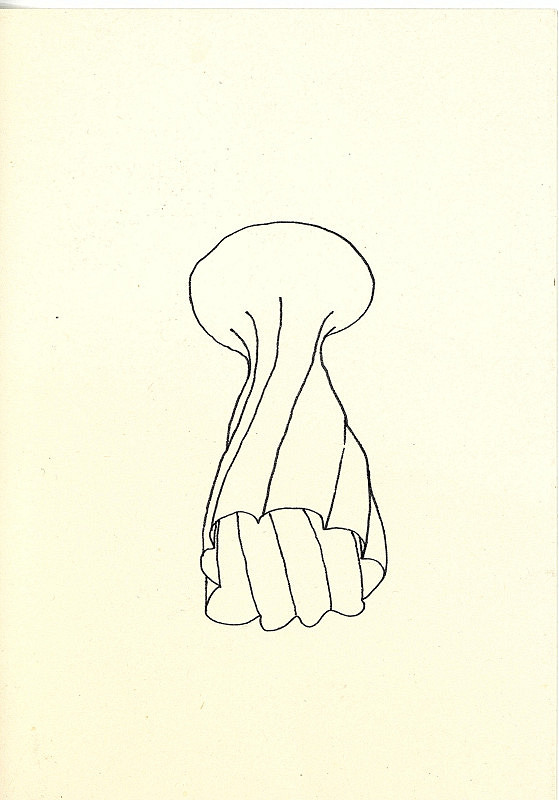 neznámý – bez názvu 