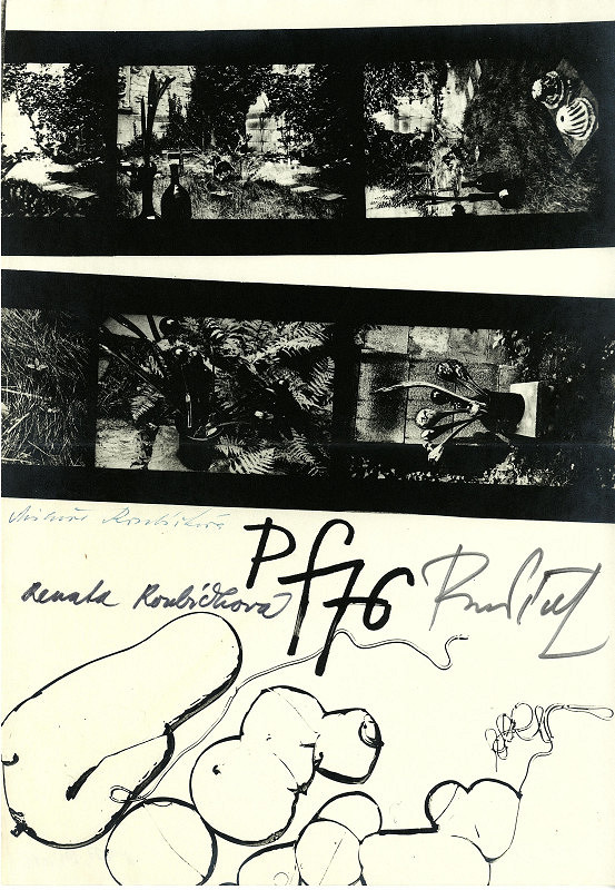 René Roubíček, Miluše Roubíčková – bez názvu 