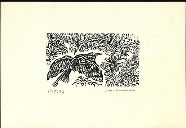 Miroslav Kudrna – bez názvu 