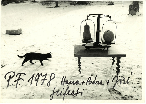 Jiří Seifert – bez názvu 