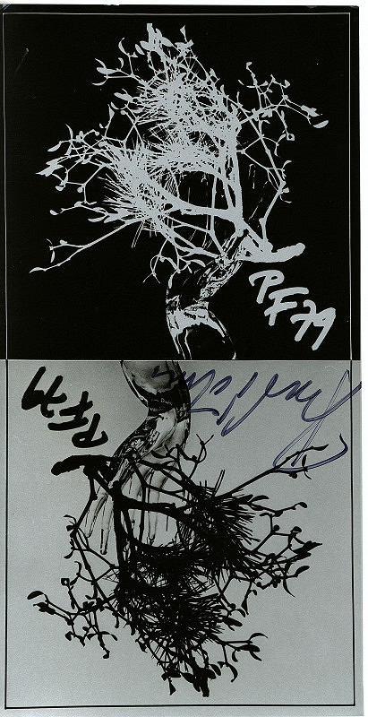 rodina Roubíčkových – bez názvu 