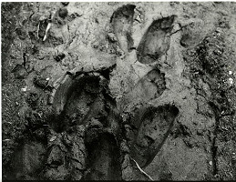 Pavel Nešleha – bez názvu 