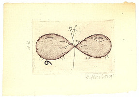 Hana Storchová – bez názvu 