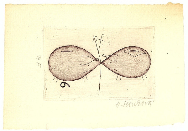 Hana Storchová – bez názvu 