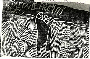 Věra Janoušková, Vladimír Janoušek – bez názvu 