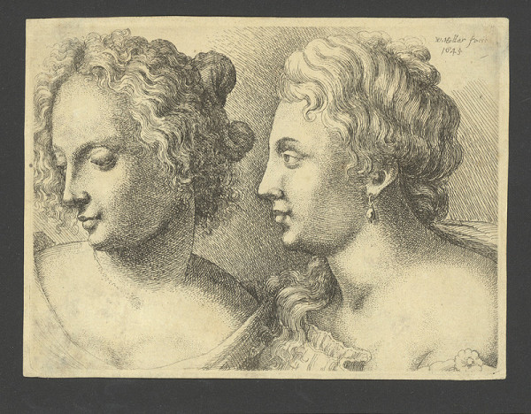 Václav Hollar – Ženská hlava 