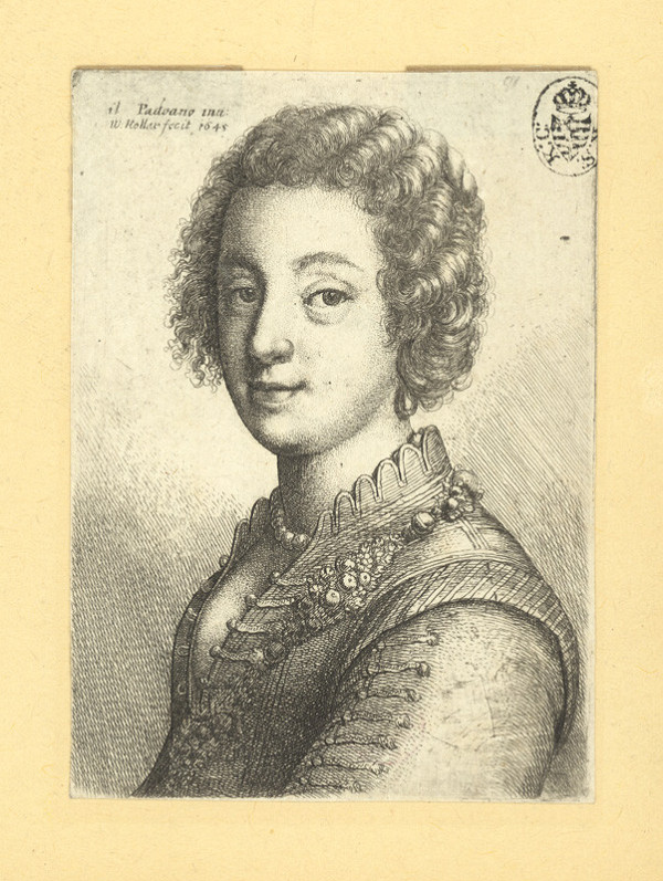 Václav Hollar – Podobizna mladé ženy, podle Padovana 