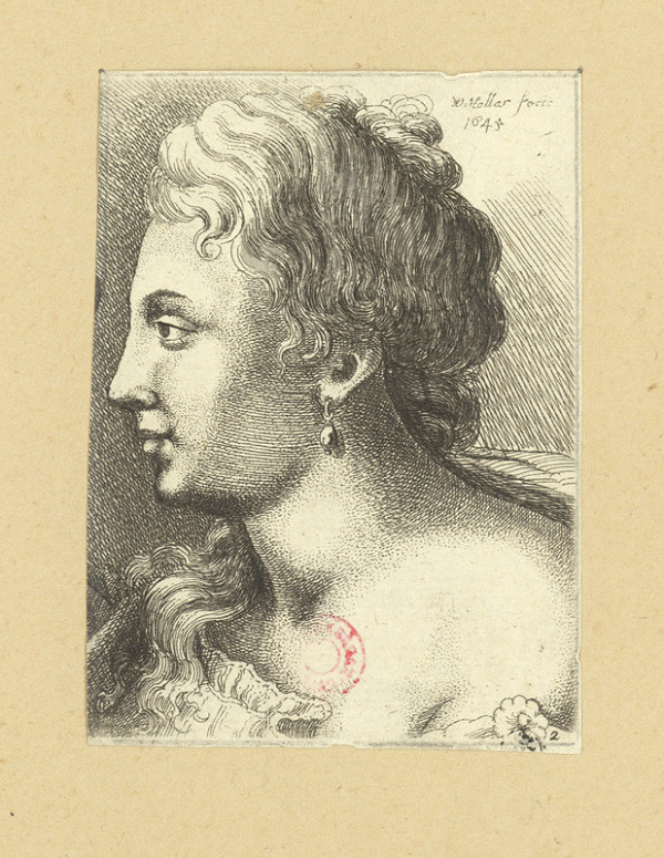 Václav Hollar – Ženská hlava 