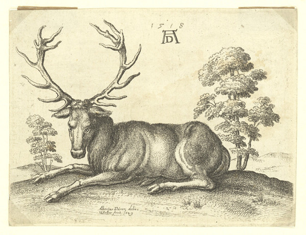 Václav Hollar – Ležící jelen, podle Albrechta Dürera 