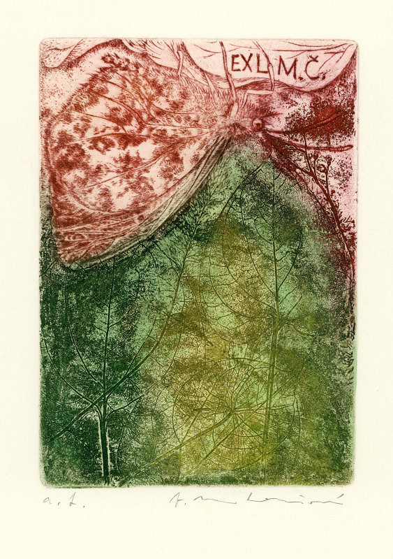 Vlasta Matoušová – Ex libris M. Č. (MUDr. Markéta Čížková), Jaro z cyklu Roční období 