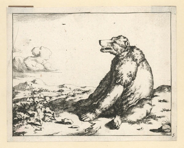 Marcus de Bie – Medvěd (podle M. Gerarda) 