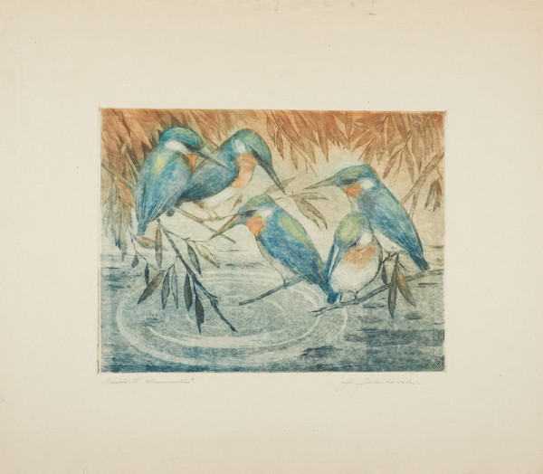 Stanisław Jakubowski – Ledňáčci 