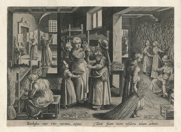 Philippe Galle – Pěstování bource morušového (podle Jana Stradana) 