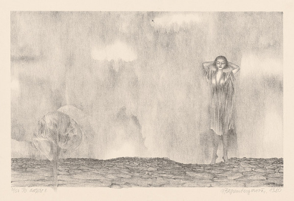 Naďa Rappensbergerová-Jankovičová – Po daždi II. 