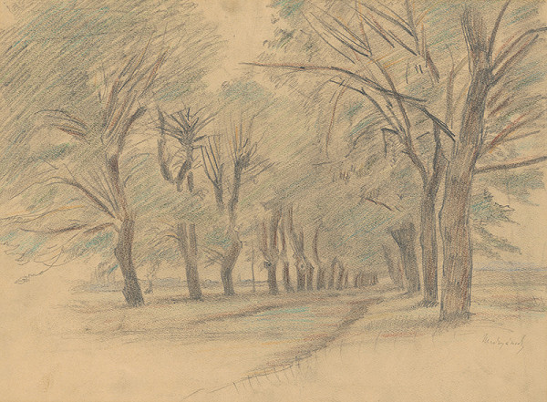 Ladislav Mednyánszky – Aleja 