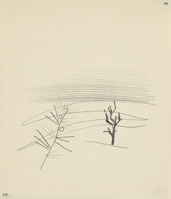 Mikuláš Galanda – Štúdie stromov 