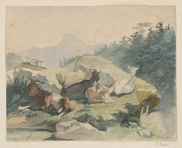 Thomas Ender – Krajinka s kozami 