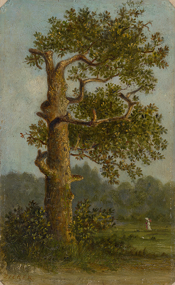 Gejza Zierer – Strom 