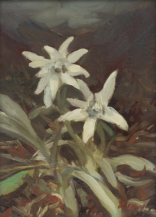 Zolo Palugyay – Horské kvety 