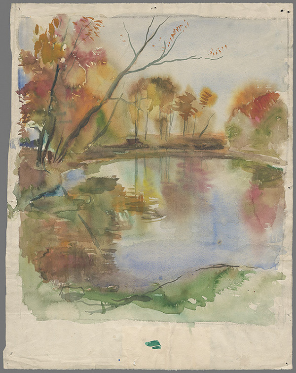 Július Schubert – Les v Petržalke 