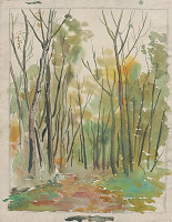 Július Schubert – Petržalka II. 