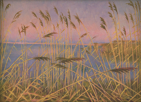 Dezider Czölder – Suché tŕstie 