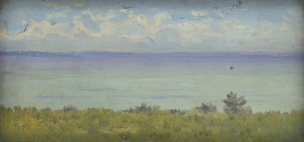 Ferdinand Katona – Pohľad na vodnú hladinu a časť pobrežia 