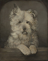 František Kozics – Psík 