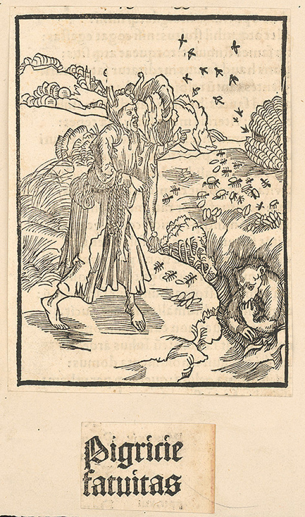 Stredoeurópsky grafik zo 16. storočia – Pigrície fatuitas 