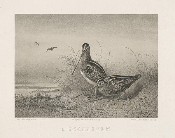 Eugen Krüger – Sľuky 