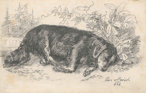 Andreas Majsch – Spiaci pes 