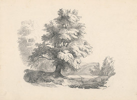 Andreas Majsch – Hradba 