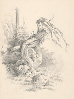 Andreas Majsch – Korene 