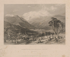 James Charles Armytage, Thomas Allom – Minerálne pramene vo Welse 