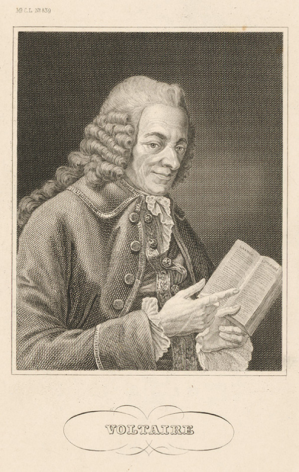 Stredoeurópsky maliar z 19. storočia – Voltaire 