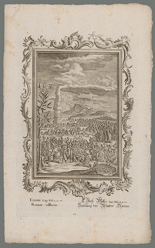 Stredoeurópsky grafik z 18. storočia – Zbieranie manny 