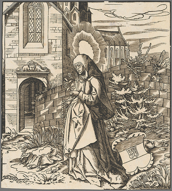 Leonhard Beck  – Svätá Severa 