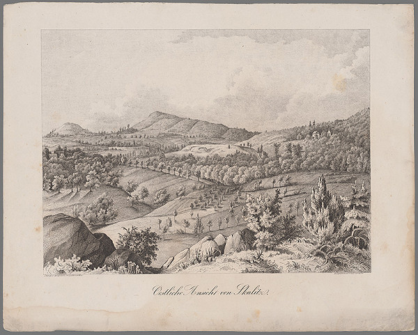 Stredoeurópsky autor z 19. storočia – Veduta Skalice 