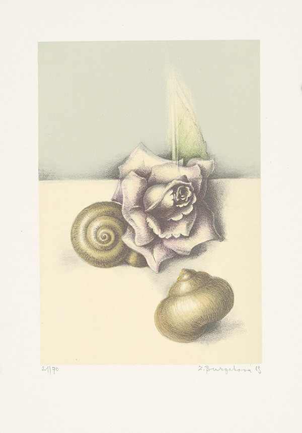 Zdeňka Burgetová, Jules Worms – Bez názvu 