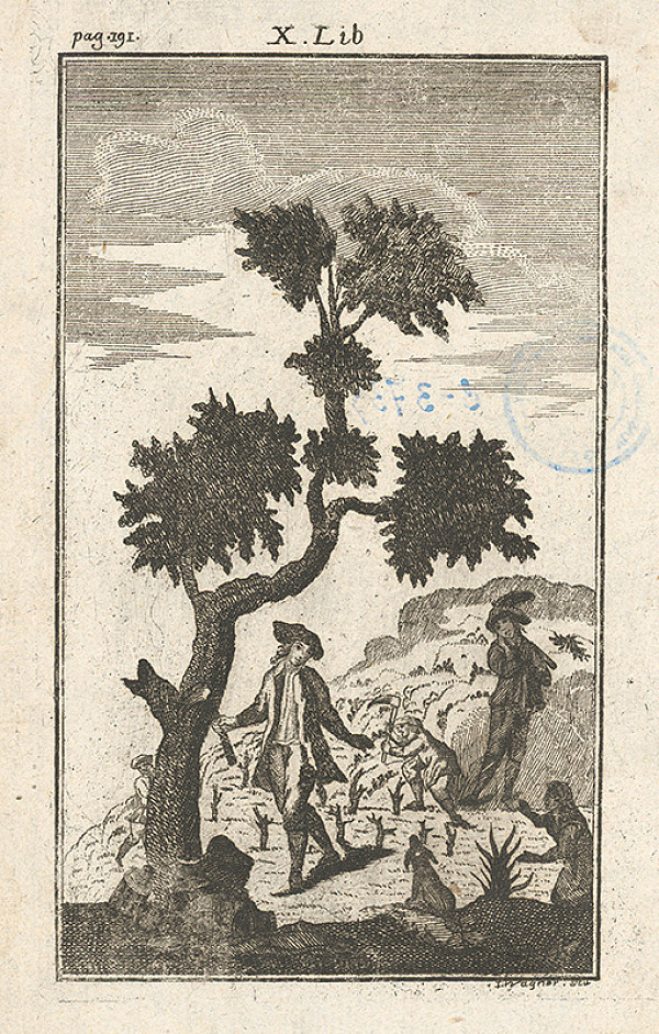 Johann Georg Wagner – Drevorubači 