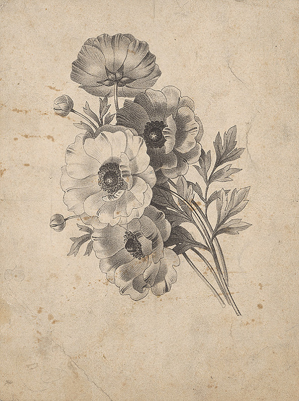 Stredoeurópsky grafik z 19. storočia – Kytica kvetov 