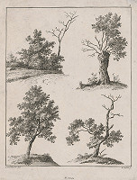 Georg Adam, I.G. Erhard – Stromy 