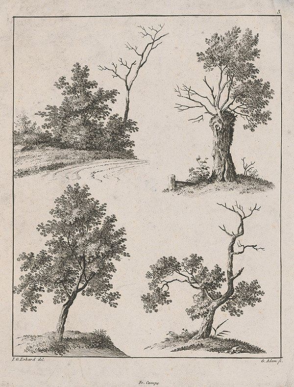 Georg Adam, I.G. Erhard – Stromy 