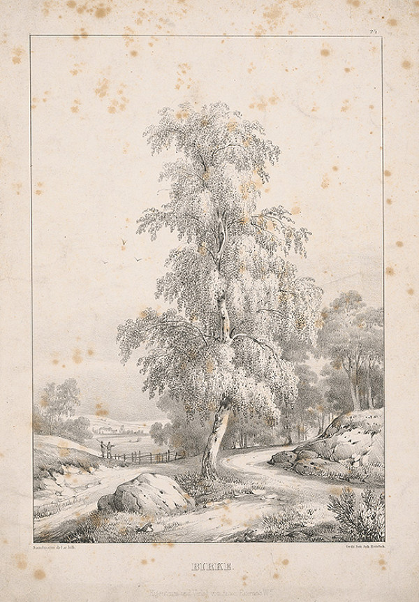 Franz Josef Sandmann – Breza 