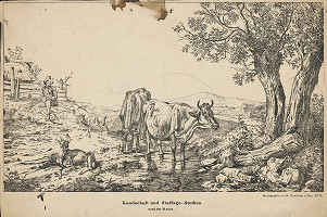 Matthias Trentsensky – Krajina 