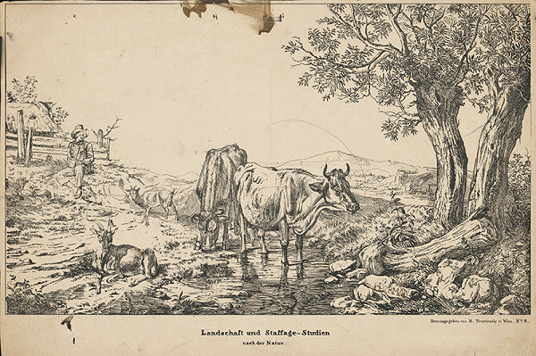 Matthias Trentsensky – Krajina 