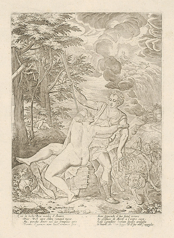 Martino Rota – Venuša a Adonis 