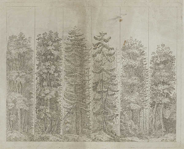 Stredoeurópsky maliar z 19. storočia – Šesť druhov stromov 