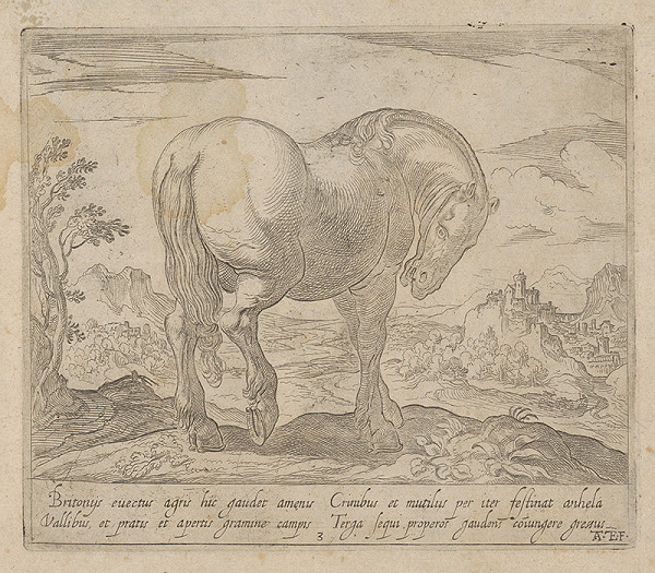 Antonio Tempesta – Kôň 